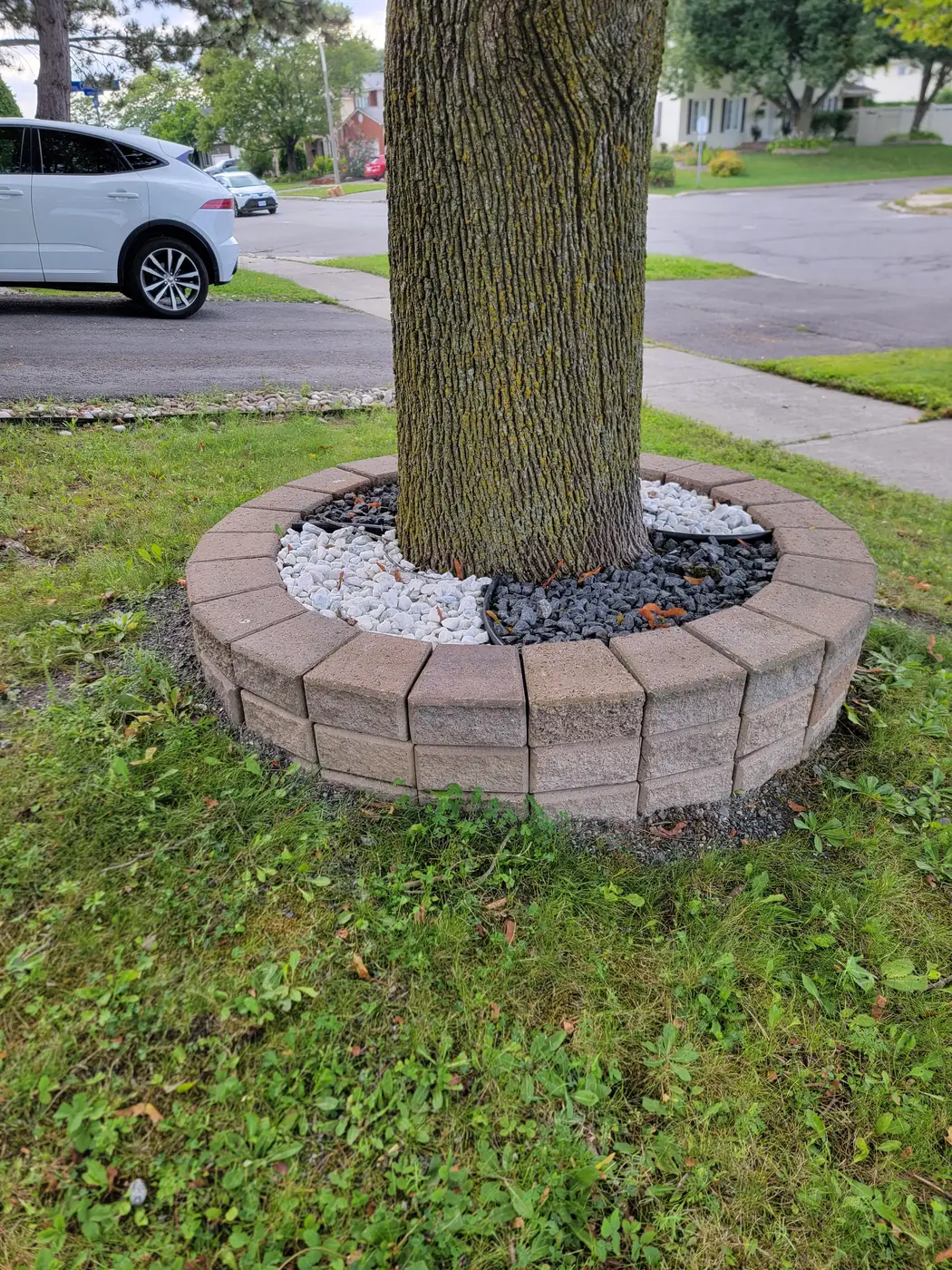 Circular interlock border around a tree with decorative stone